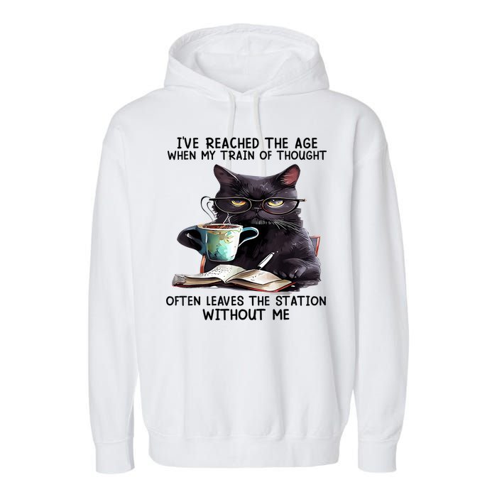 Cat Ive Reached The Age When My Train Of Thought Garment-Dyed Fleece Hoodie