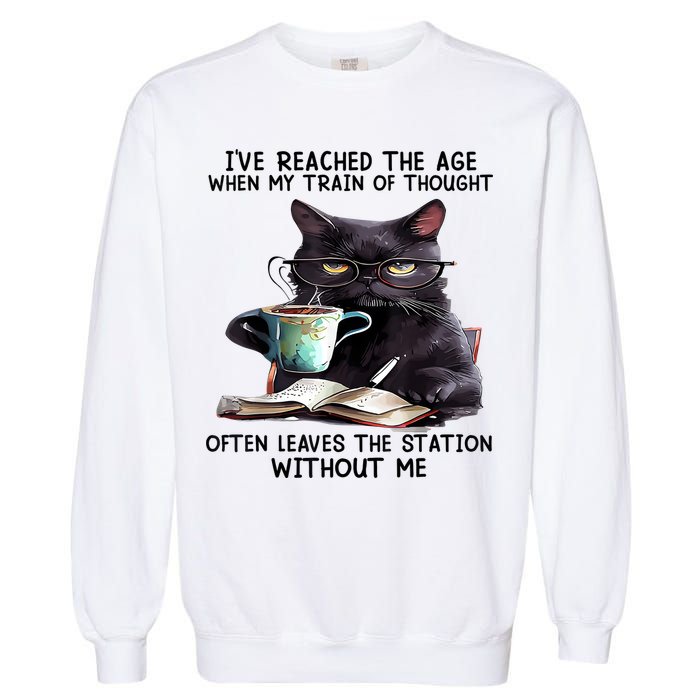 Cat Ive Reached The Age When My Train Of Thought Garment-Dyed Sweatshirt