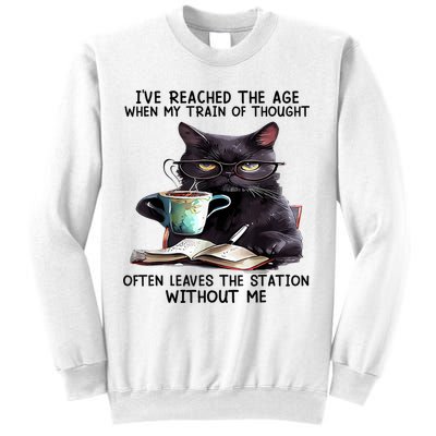 Cat Ive Reached The Age When My Train Of Thought Sweatshirt