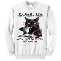 Cat Ive Reached The Age When My Train Of Thought Sweatshirt