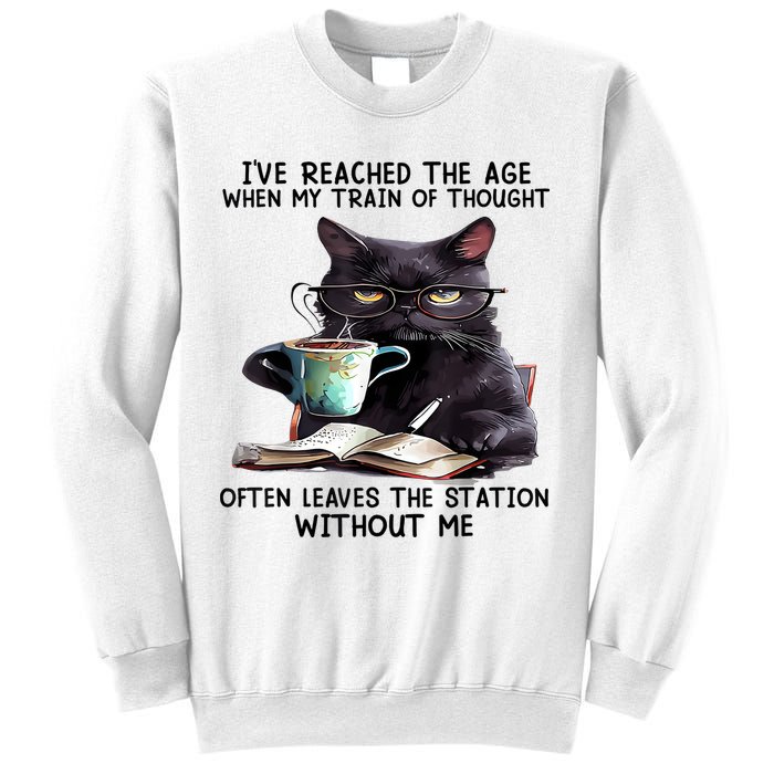 Cat Ive Reached The Age When My Train Of Thought Sweatshirt