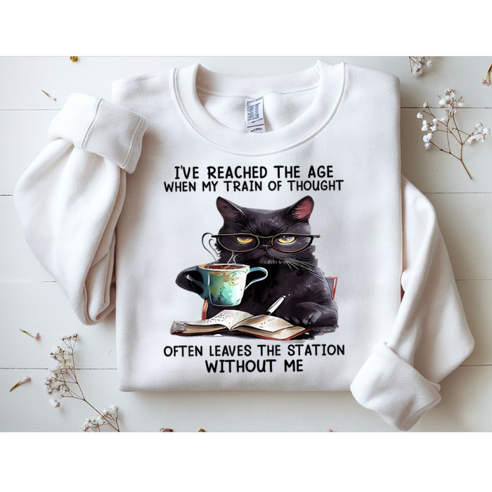 Cat Ive Reached The Age When My Train Of Thought Sweatshirt