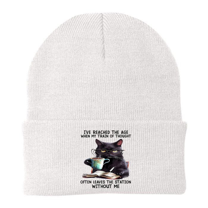 Cat Ive Reached The Age When My Train Of Thought Beanie