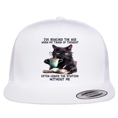 Cat Ive Reached The Age When My Train Of Thought Flatbill Hat