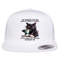 Cat Ive Reached The Age When My Train Of Thought Flatbill Hat