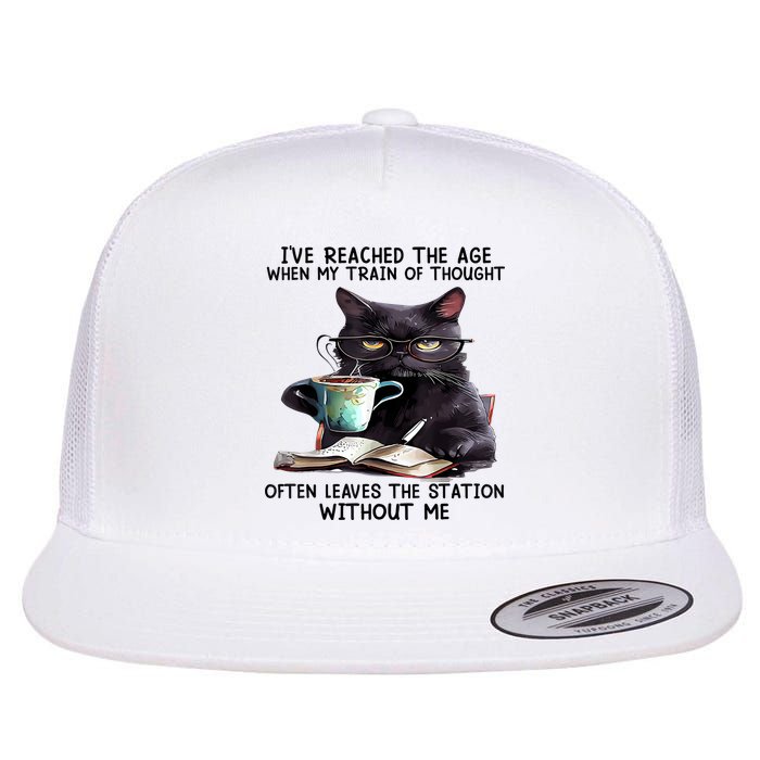 Cat Ive Reached The Age When My Train Of Thought Flatbill Hat