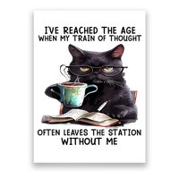 Cat Ive Reached The Age When My Train Of Thought Poster