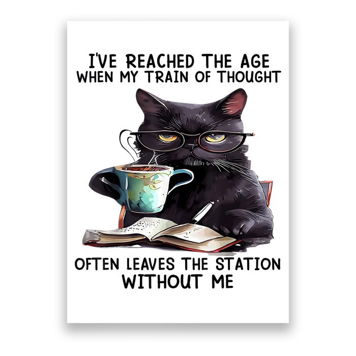 Cat Ive Reached The Age When My Train Of Thought Poster
