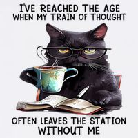 Cat Ive Reached The Age When My Train Of Thought Trucker Hat