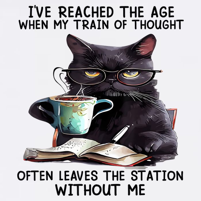 Cat Ive Reached The Age When My Train Of Thought Trucker Hat