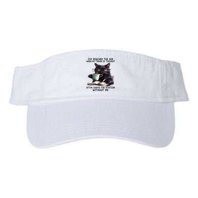 Cat Ive Reached The Age When My Train Of Thought Visor