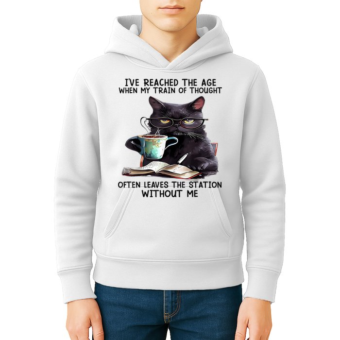Cat Ive Reached The Age When My Train Of Thought Kids Hoodie