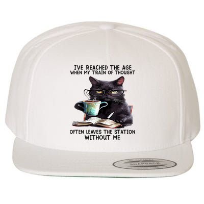 Cat Ive Reached The Age When My Train Of Thought Wool Snapback Cap