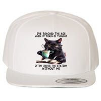 Cat Ive Reached The Age When My Train Of Thought Wool Snapback Cap
