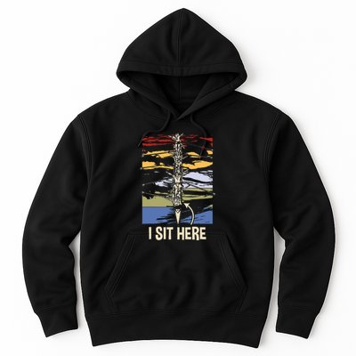 Coxswain I Sit Here Funny Vintage Rowing Coxswain Hoodie