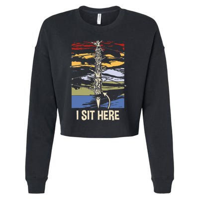 Coxswain I Sit Here Funny Vintage Rowing Coxswain Cropped Pullover Crew