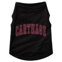 Carthage Illinois Souvenir College Style Red Text Doggie Tank