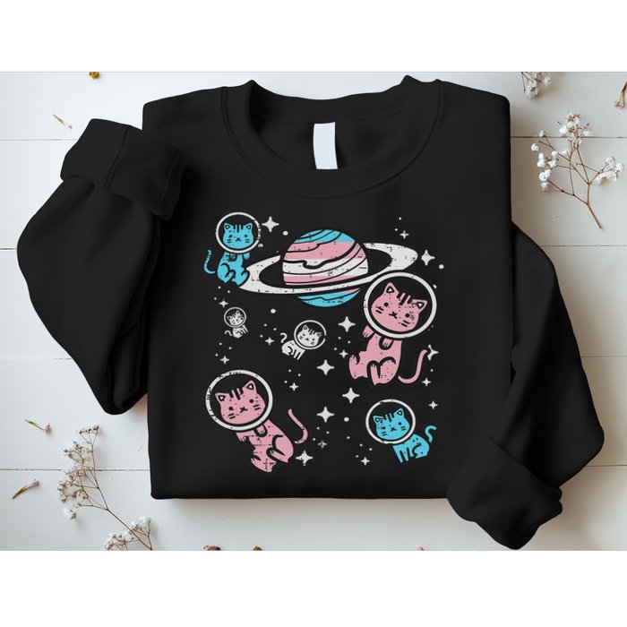 Cats In Space Transsexual Pride Month Lgbt Sweatshirt