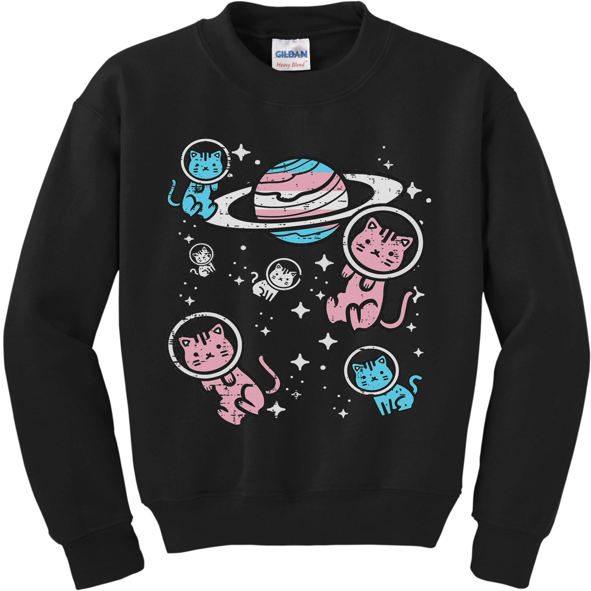 Cats In Space Transsexual Pride Month Lgbt Kids Sweatshirt