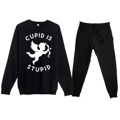 Cupid Is Stupid Anti Valentine Premium Crewneck Sweatsuit Set