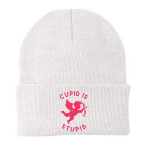 Cupid Is Stupid Anti Valentine Knit Cap Winter Beanie