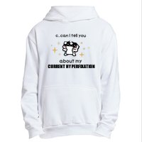 Can I Tell You About My Current Hyperfixation Urban Pullover Hoodie