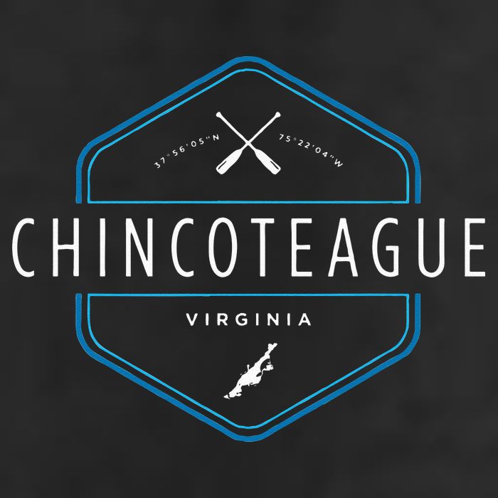 Chincoteague Island Virginia Beach Graphic Adult Drive Performance Visor