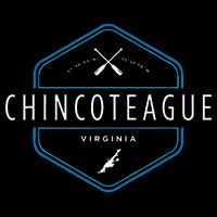 Chincoteague Island Virginia Beach Graphic 16 in Basic Backpack