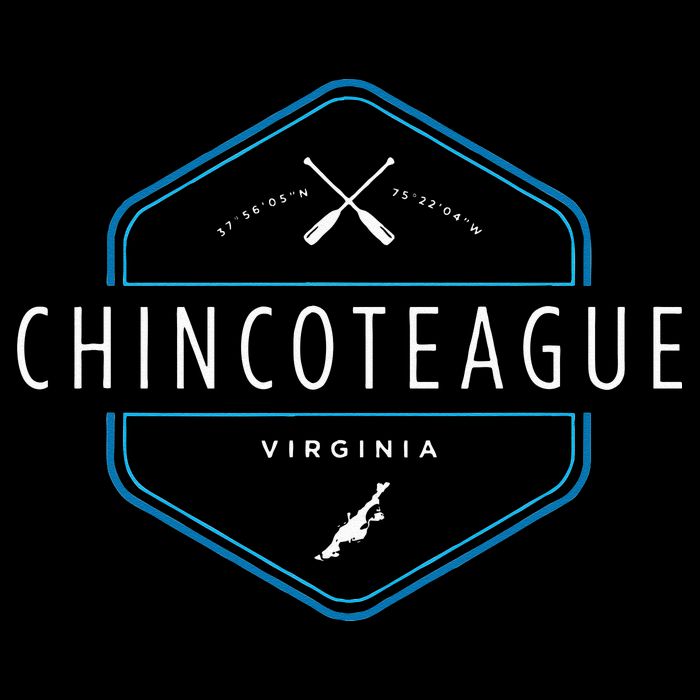 Chincoteague Island Virginia Beach Graphic 16 in Basic Backpack