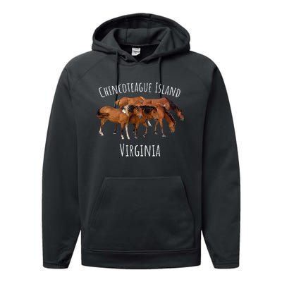 Chincoteague Island Virginia Horse Assateague Pony Performance Fleece Hoodie