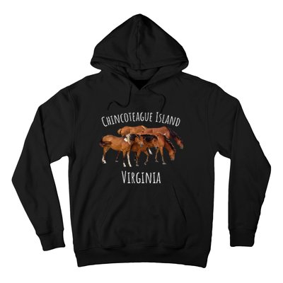 Chincoteague Island Virginia Horse Assateague Pony Hoodie