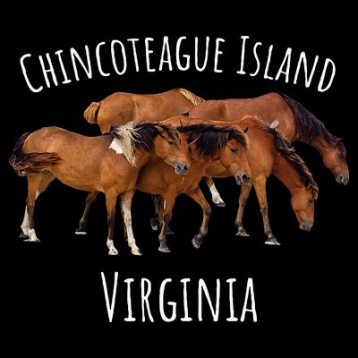Chincoteague Island Virginia Horse Assateague Pony T-Shirt