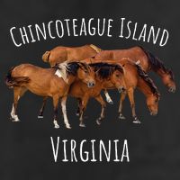 Chincoteague Island Virginia Horse Assateague Pony 11oz C Handle Ceramic Mug
