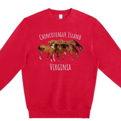 Chincoteague Island Virginia Horse Assateague Pony Premium Crewneck Sweatshirt