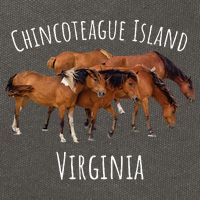 Chincoteague Island Virginia Horse Assateague Pony Cotton Canvas Backpack