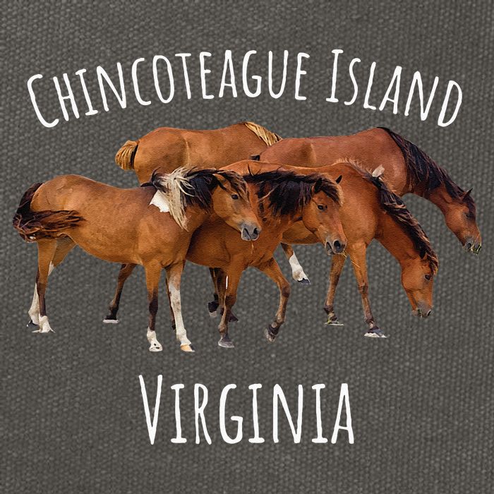 Chincoteague Island Virginia Horse Assateague Pony Cotton Canvas Backpack