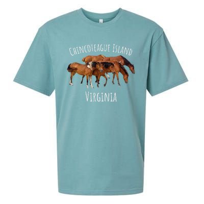 Chincoteague Island Virginia Horse Assateague Pony Sueded Cloud Jersey T-Shirt