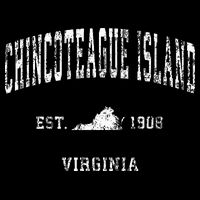 Chincoteague Island Virginia VA Vintage Athletic Sports Desi Backpack