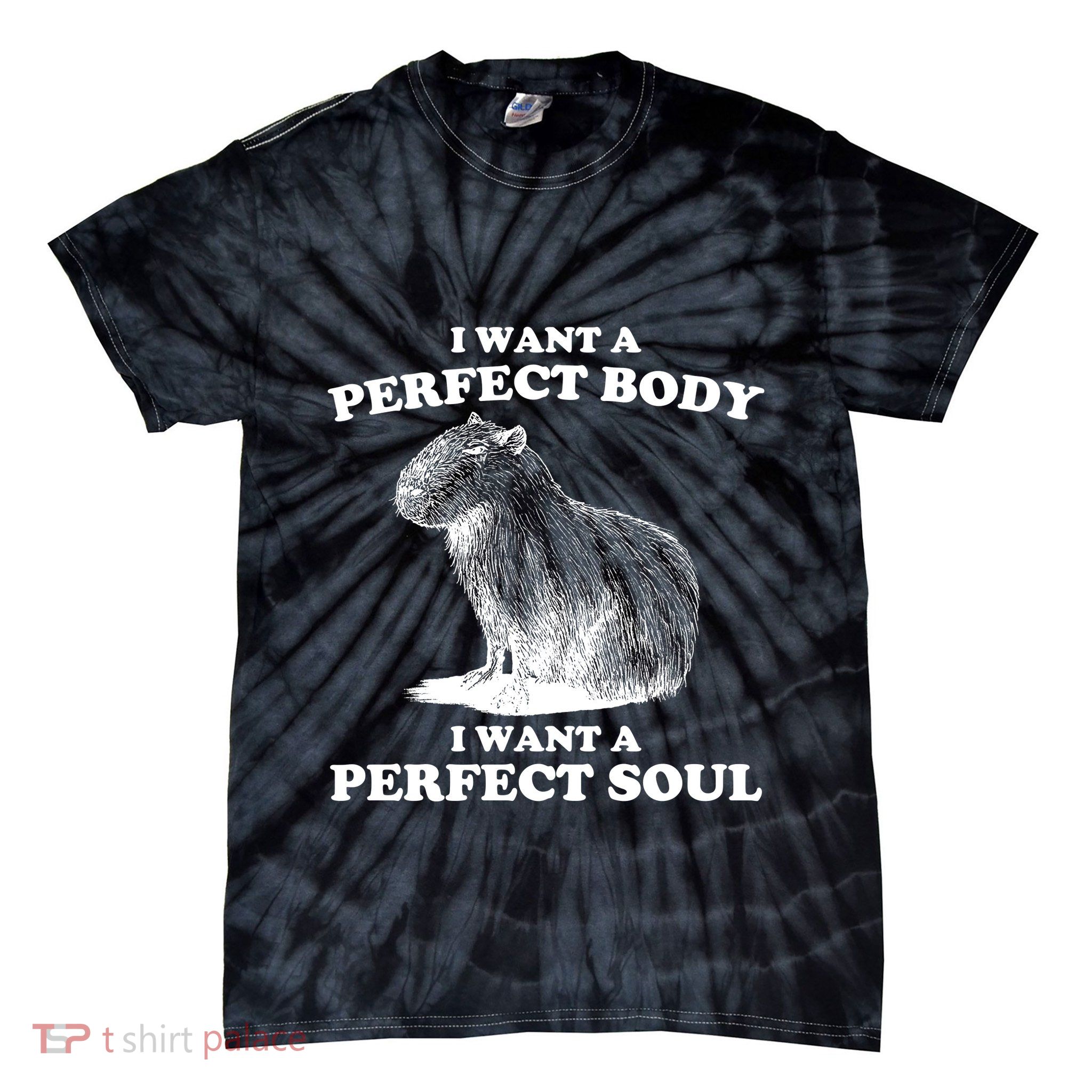 Capybara I Want A Perfect Body I Wan A Perfect Soul Tie-Dye T-Shirt