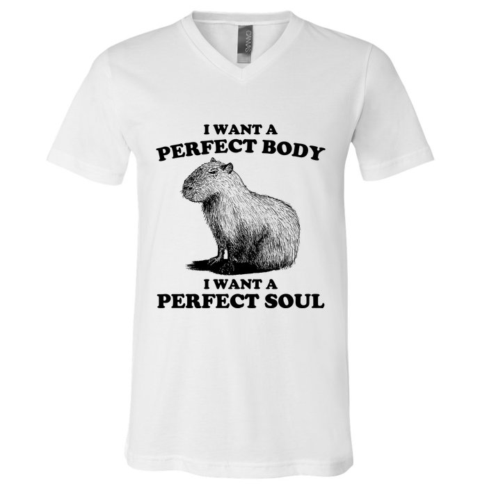 Capybara I Want A Perfect Body I Wan A Perfect Soul V-Neck T-Shirt