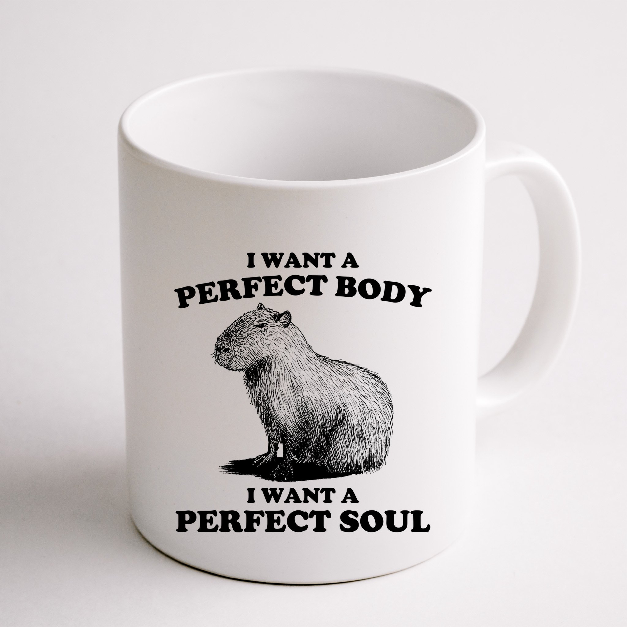 Capybara I Want A Perfect Body I Wan A Perfect Soul Mug