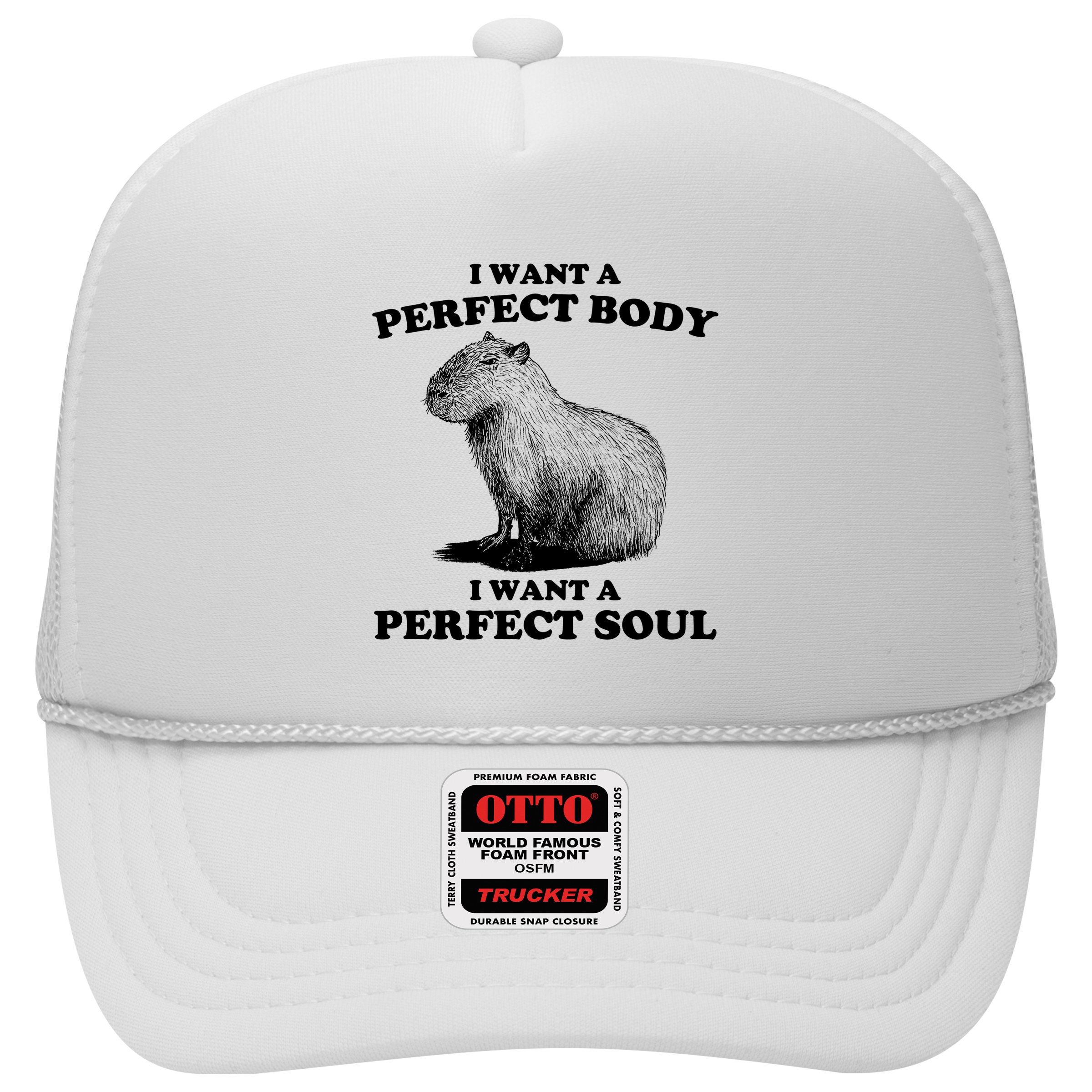 Capybara I Want A Perfect Body I Wan A Perfect Soul Hat