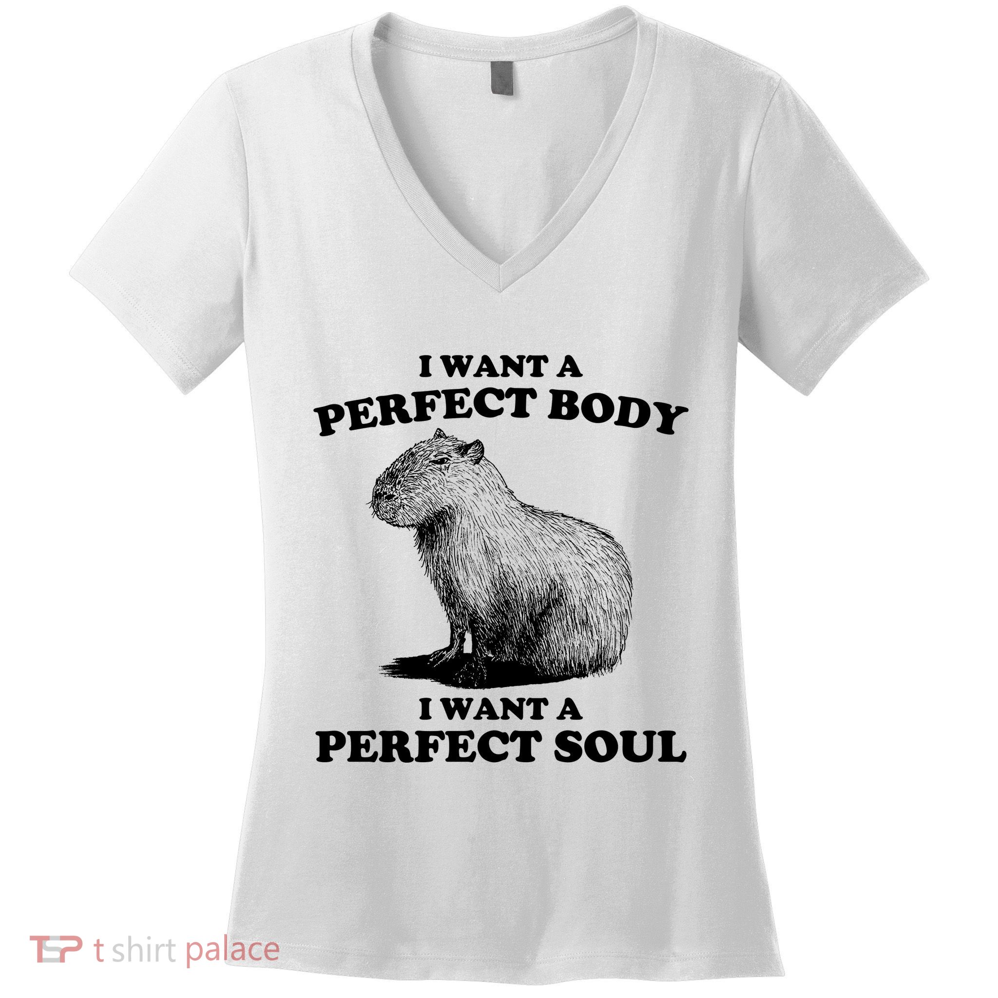 Capybara I Want A Perfect Body I Wan A Perfect Soul Women's V-Neck T-Shirt