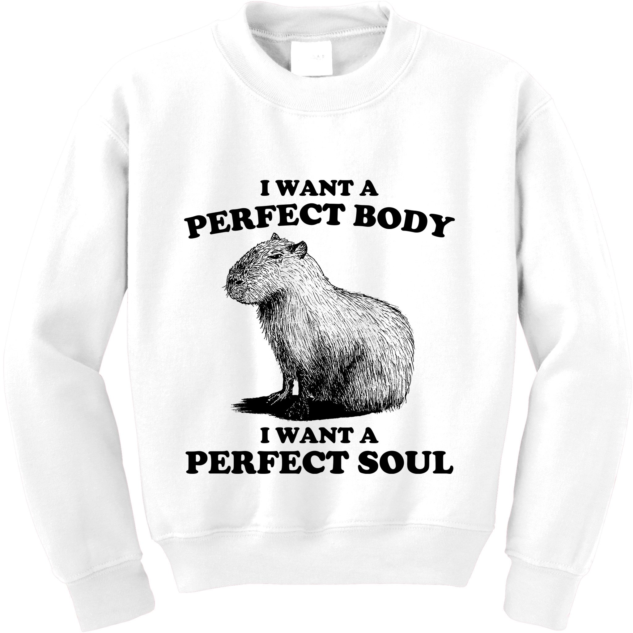 Capybara I Want A Perfect Body I Wan A Perfect Soul Kids Sweatshirt