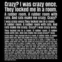 Crazy I Was Crazy Once. Funny Trending Meme Copypasta Magnet