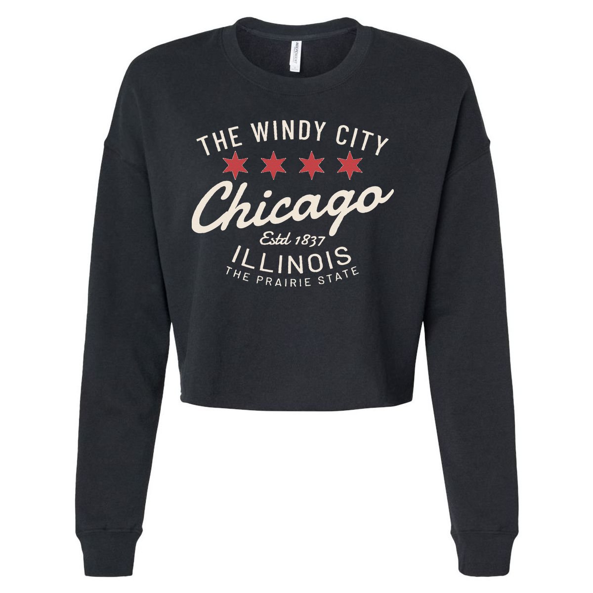 Chicago Illinois Windy City Estd 1837 Prairie State Souvenir Cropped Pullover Crew