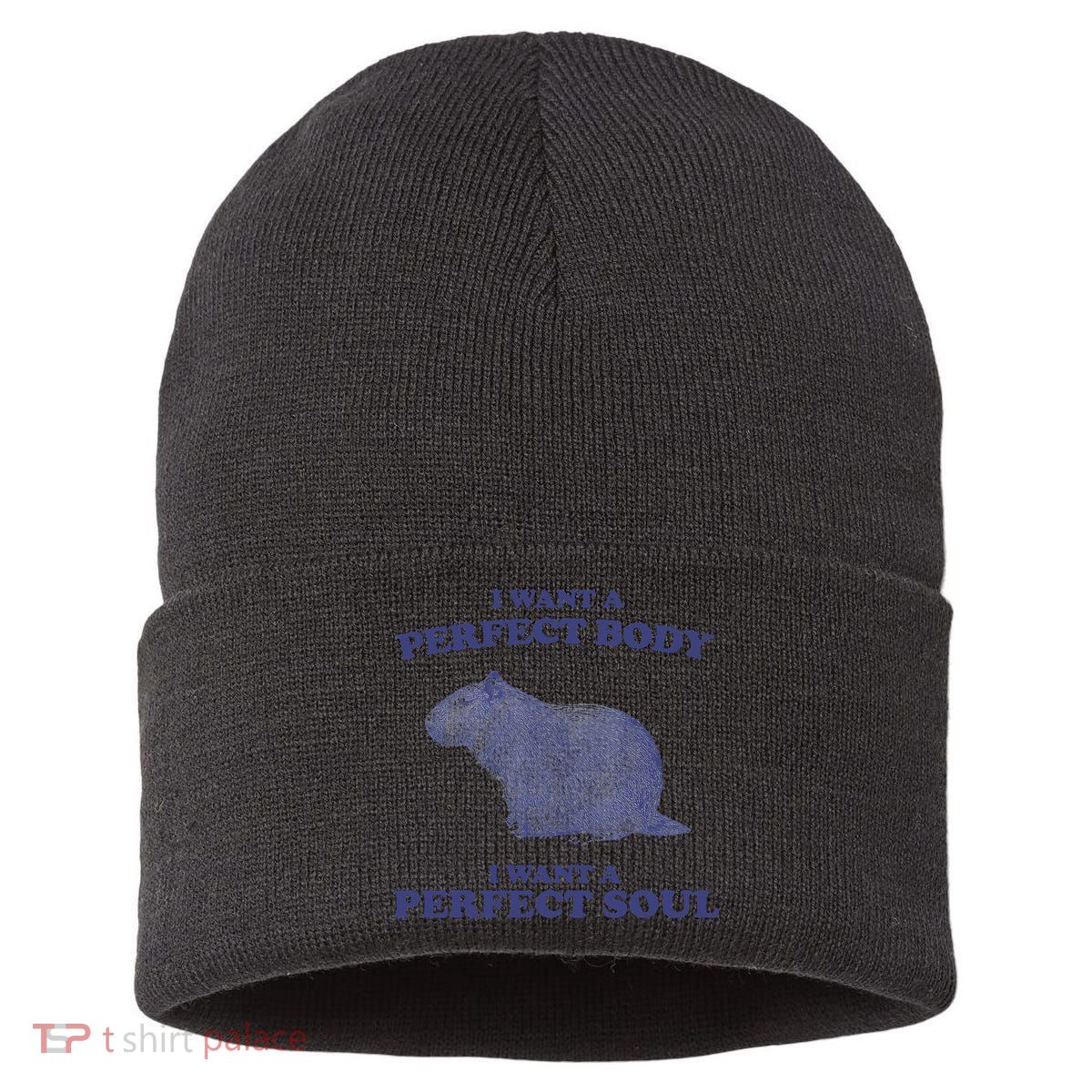 Capybara I Want A Perfect Body I Want A Perfect Soul Meme Sustainable Knit Beanie