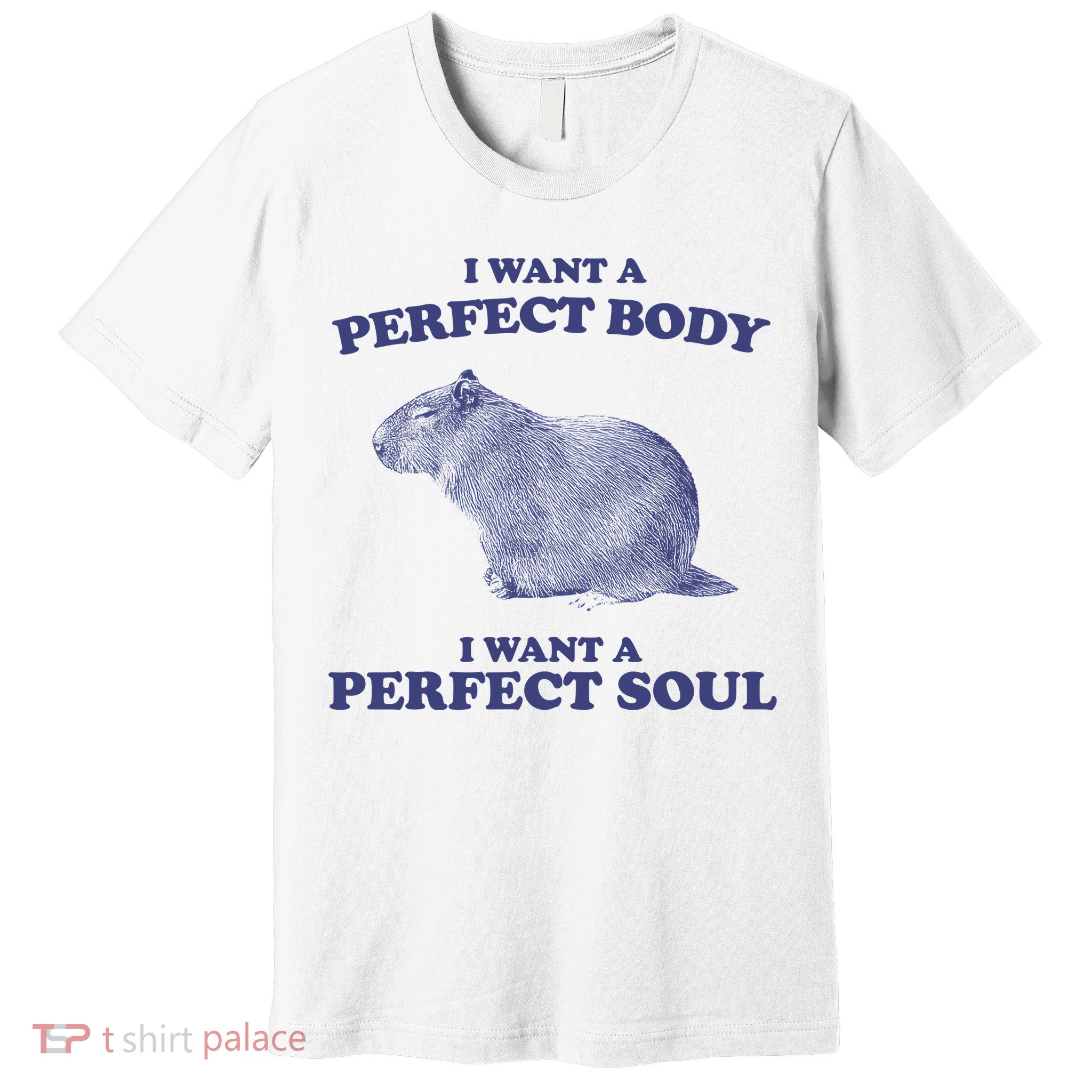 Capybara I Want A Perfect Body I Want A Perfect Soul Meme Premium T-Shirt