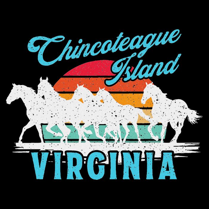 Chincoteague Island Wild Horses Virginia Travel  Tall T-Shirt
