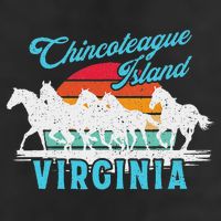Chincoteague Island Wild Horses Virginia Travel  Hat